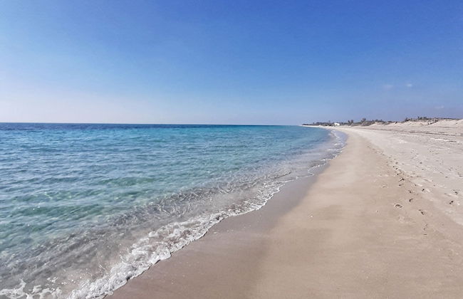 Il Giardino TerraNostra - Foto 26