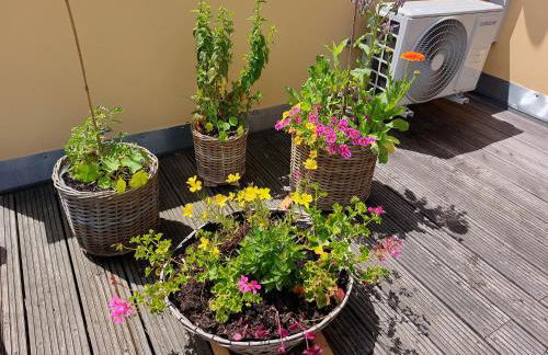 Apartment Sonnenschein - Foto 27