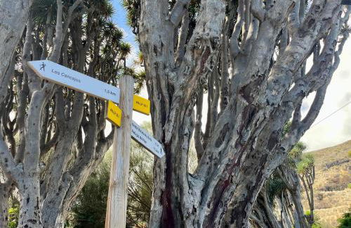 Vivienda Vacacional El Zumacal - Foto 20