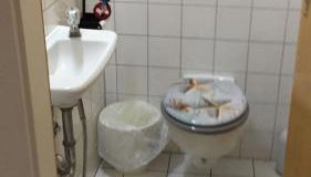 Gesamt Unterkunft Rheinhaus - Foto 5