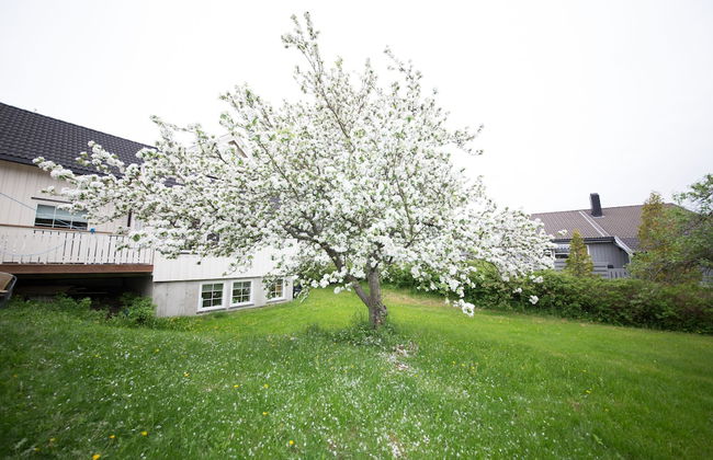 Ranheim Apartments AS - Foto 30