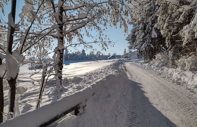 Ruhiges Apartment mit Sauna, Burggen - Foto 18