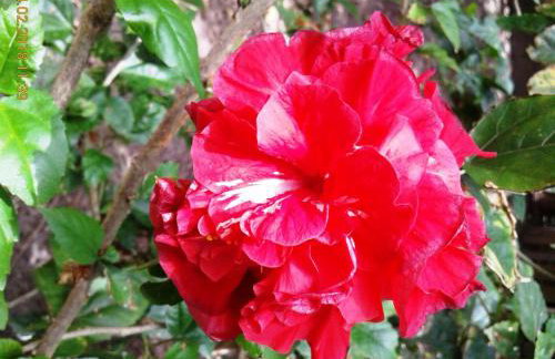 Quitinetes Rusticas Junto a Natureza - Bruxas e Bruxos - Foto 37