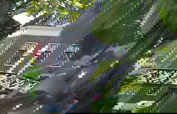 Holiday Home in Hindeloopen by Lake - Foto 28