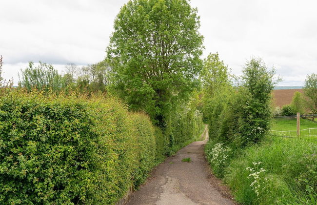 Comfy Holiday Home in Voerendaal - Photo 30