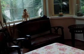 Resort Siranita - Foto 47