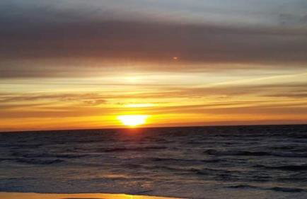 Zielony Domek z jacuzzi - Foto 40