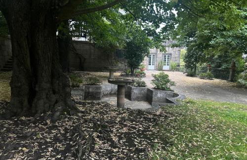 Casa Do Refugio Guest House - Foto 4