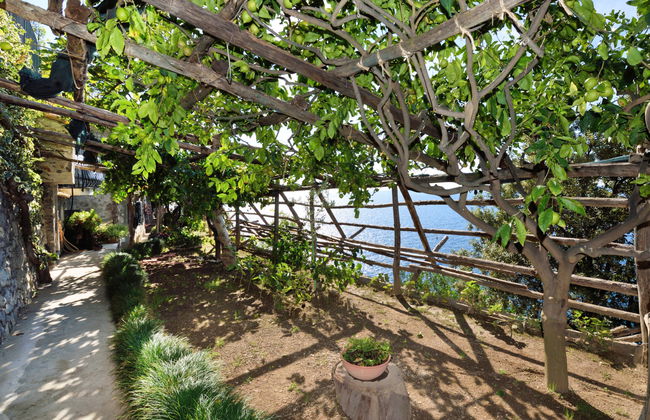 Il Corallo - Foto 54