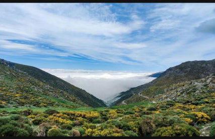 Escondite de Julia - Foto 31