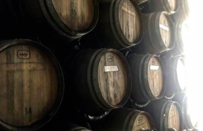 Agriturismo Villa Le Vigne - Foto 25