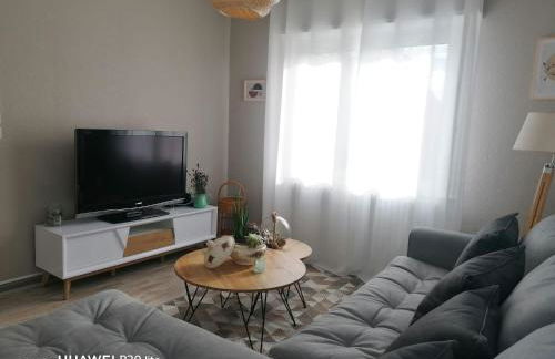 Maison Cosy Mulhouse - Foto 12