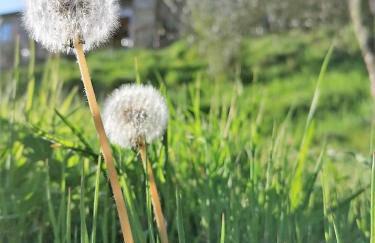 La casa In Valli 35 - Foto 15