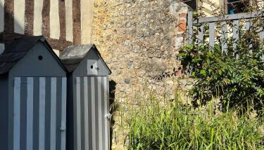 Le Nid Sainte-Catherine - Foto 4, Garden