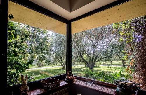 La Casa Degli Elfi - Foto 13