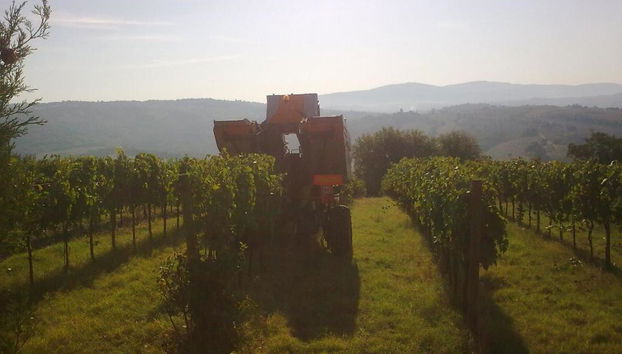 Agriturismo Il Borghetto - Foto 4