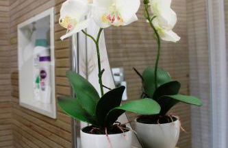 Anima E Cori - Casa Vacanza - Foto 26