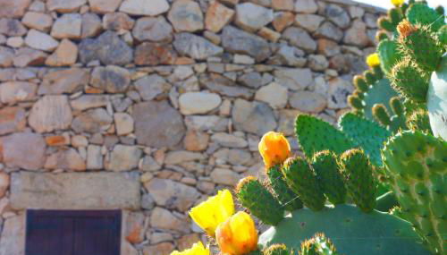 trullo macchie - Foto 5