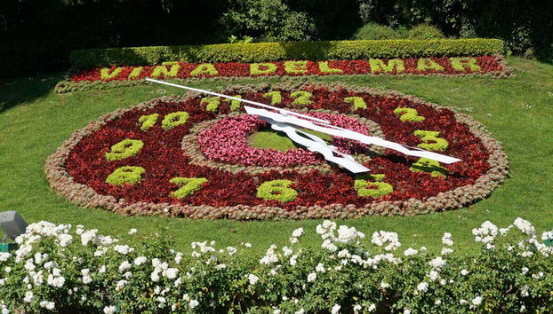 Viña del Mar & Valparaíso Bike Tour - Photo 3