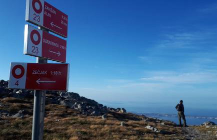 Apartments Tomas - Foto 24