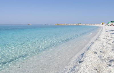 Ale house experience - Foto 66