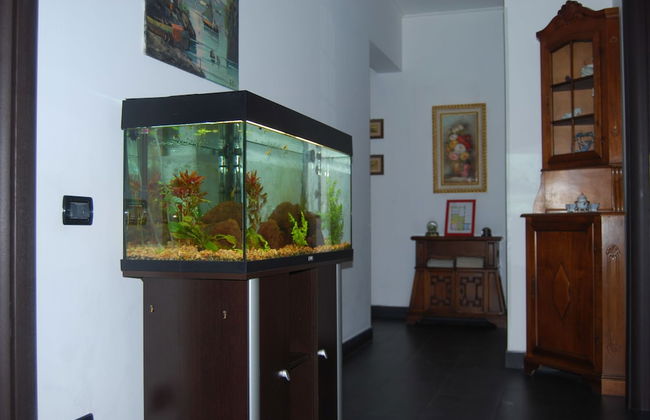 Casa MaMa - Photo 25