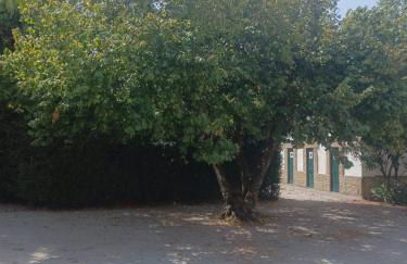 Casa da Mancha - Foto 13