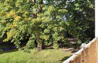 3 Zimmer, 68qm, Parkplatz, Messe DUS, Logport, Duisport - Photo 32