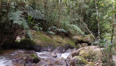 Chales Encanto do sol - Foto 5