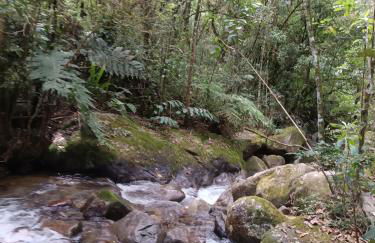 Chales Encanto do sol - Foto 5