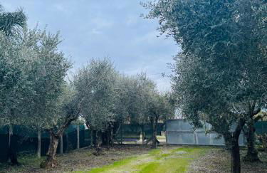 La Perla di Dea - Foto 34