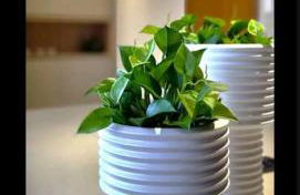 Luxuoso Studio Barra Premium - Foto 14