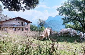 Unique natural place, Sallord, Llosa del cavall - Foto 28