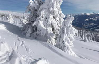 Apartment Fiemme Valley - Foto 43