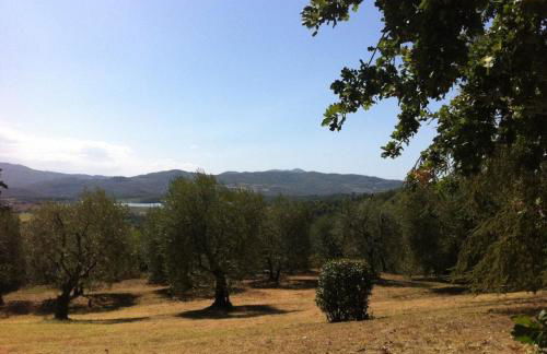 Agriturismo Il Palazzaccio - Foto 47