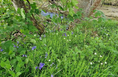 Highland River Cottage with Hot Tub - Foto 29