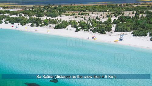 Il Fenicottero - Foto 5