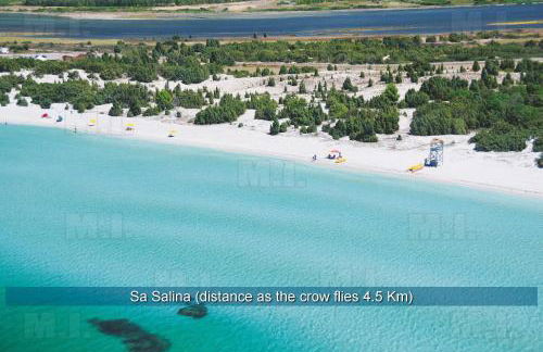 Il Fenicottero - Foto 5