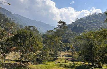 Vale das Quaresmeiras - Foto 51