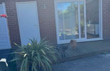 The pastures - Foto 16