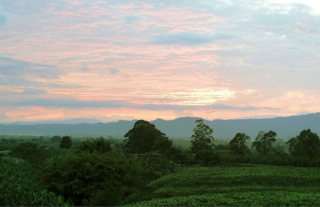 Apartahotel Jeronimos - Foto 41
