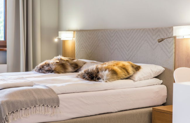 Royal Hill Residence - Foto 19