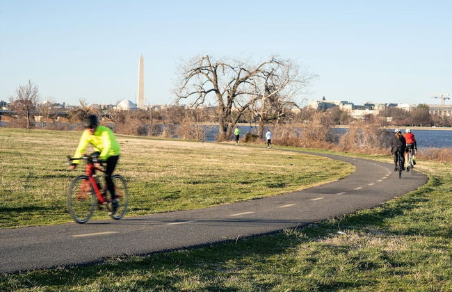 Alexandria Alluring 2BD 2BA Apartment - Foto 16