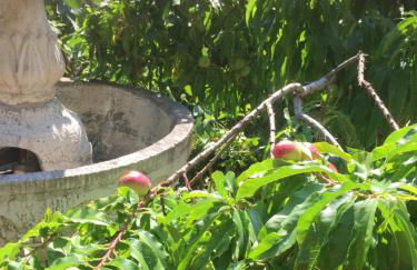 Villa in Walsrode - Photo 48