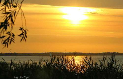 Bungalow mit Kamin in Ribnitz-Damgarten - Foto 16