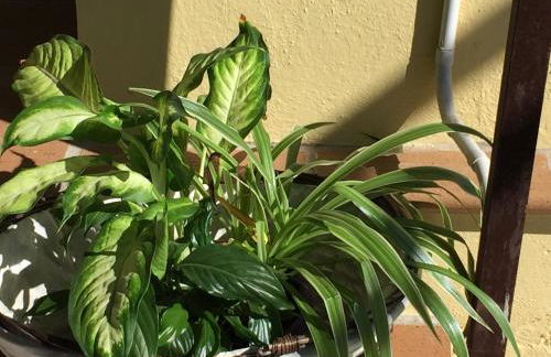 Casitas Las Uvas y las Viñas - Foto 26