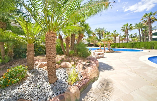 Coral Beach 02 - Foto 34