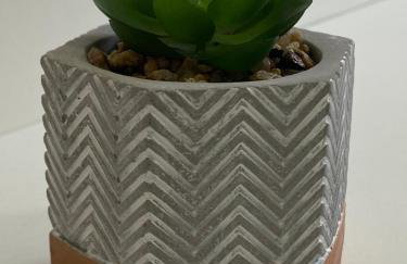 101- Lindo Apartamento Amplo e decorado, 2 quartos, sala, cozinha completa, mobiliario moderno, lavanderia , Excelente localização no bairro Bigorrilho - Photo 20