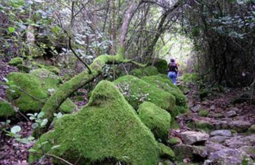 Casa Farfarnicola - Foto 19