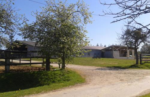 gite des écuries - Photo 9